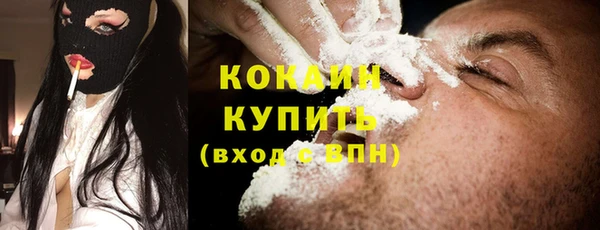 стаф Арсеньев