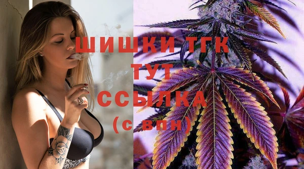 apvp Аркадак