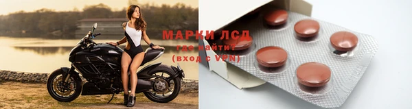 стаф Арсеньев