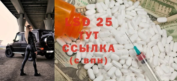 стаф Арсеньев