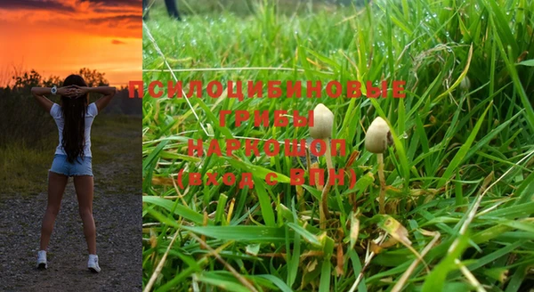 apvp Аркадак