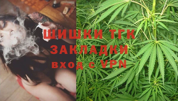 стаф Арсеньев