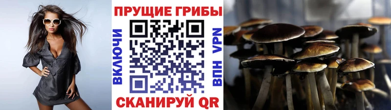 Галлюциногенные грибы прущие грибы  Нефтекамск 